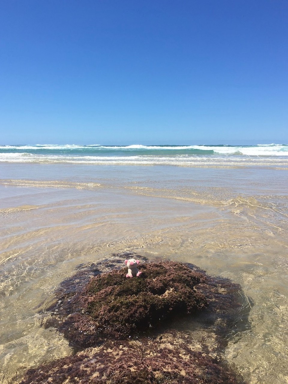 Australien - Charlestown - Jede bruucht si Insle...