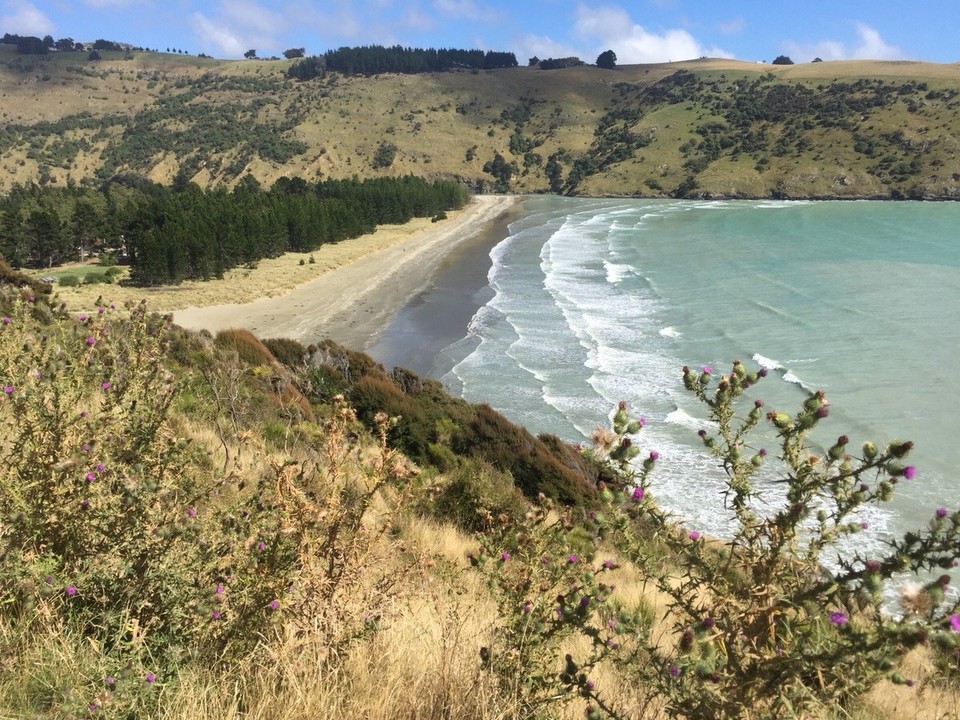 Neuseeland - Akaroa - 