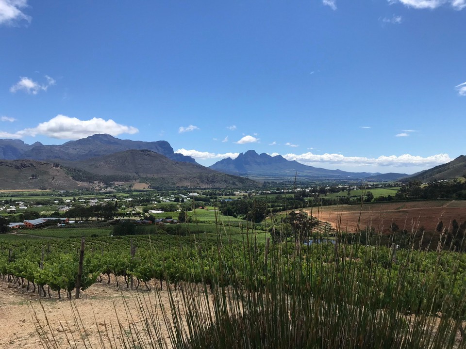 Südafrika - Franschhoek - 