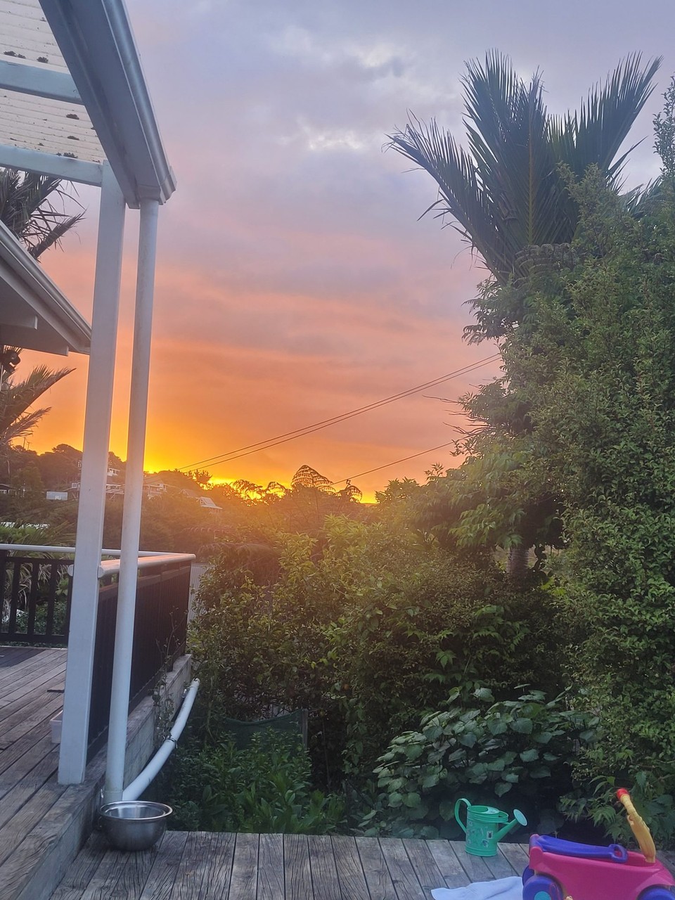 Neuseeland - Waiheke Island - 