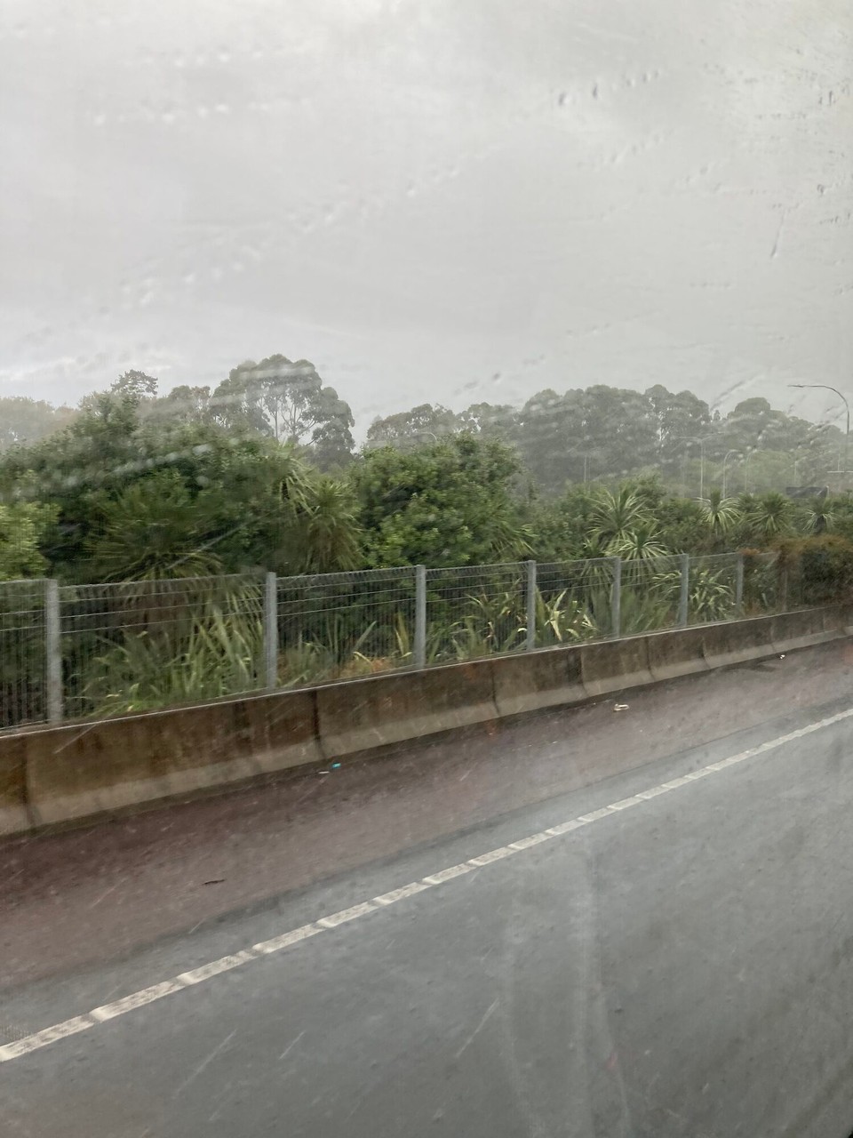 Neuseeland - Auckland - Auf dem Weg zum Flughafen holt mich der Regen wieder ein 😅