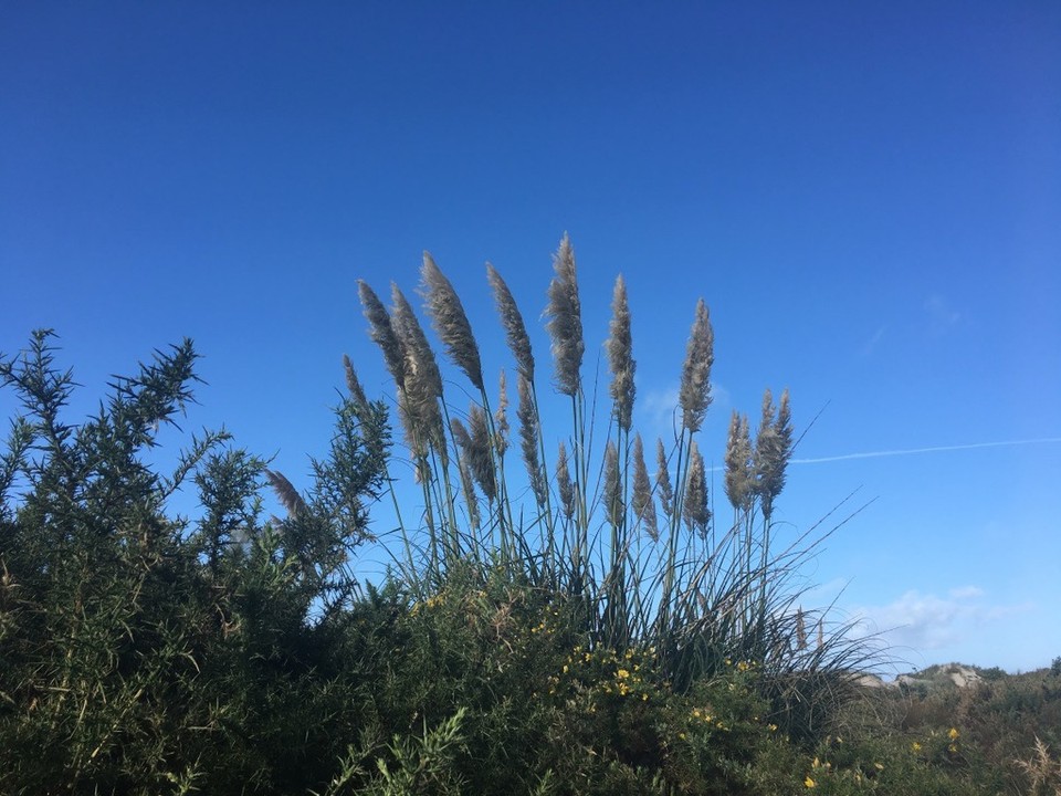 Neuseeland - Waipu - 