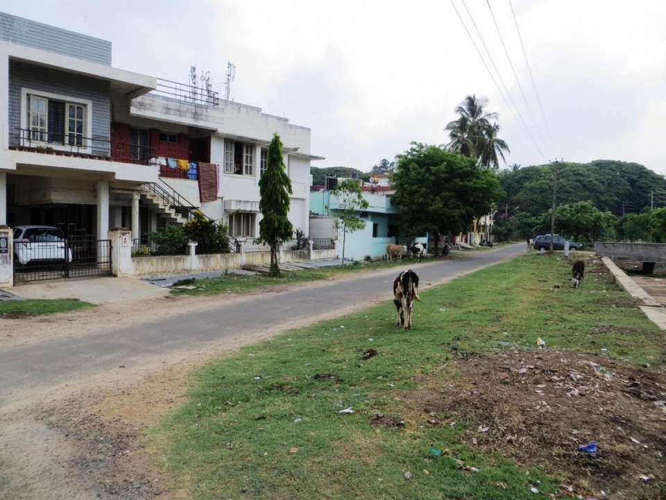 Indien - Mysore - 