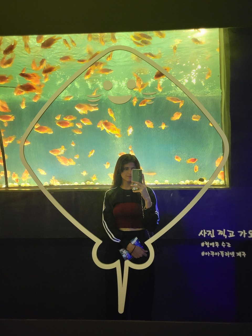 대한민국 - 서귀포시 - 