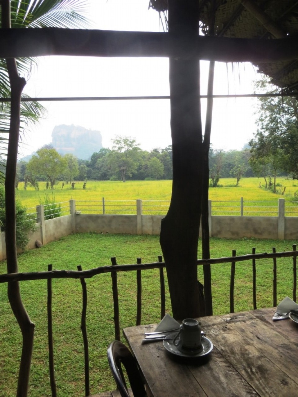 Sri Lanka - Sigiriya - Blick vom Fruestueckstisch auf den etwas benebelten Sigiriya Rock