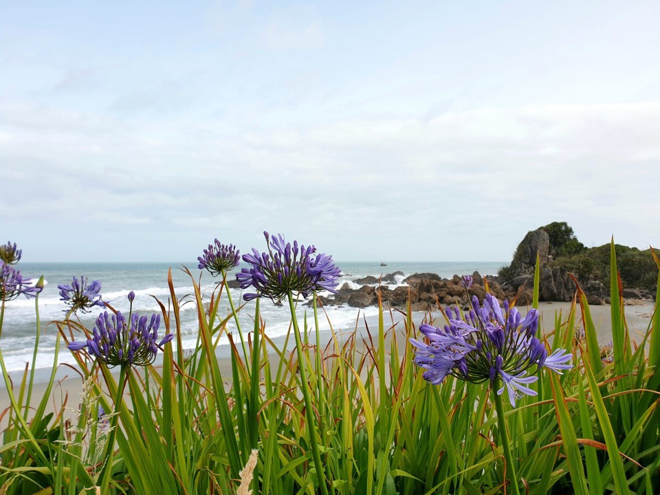 Neuseeland - Pancake Rocks - 