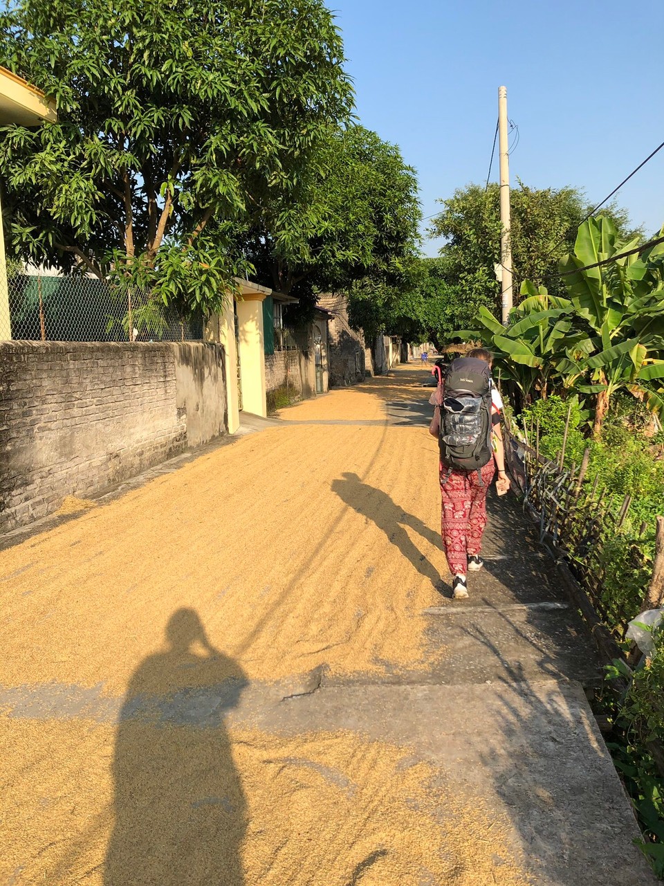 Vietnam - H. Hoa Lư - 