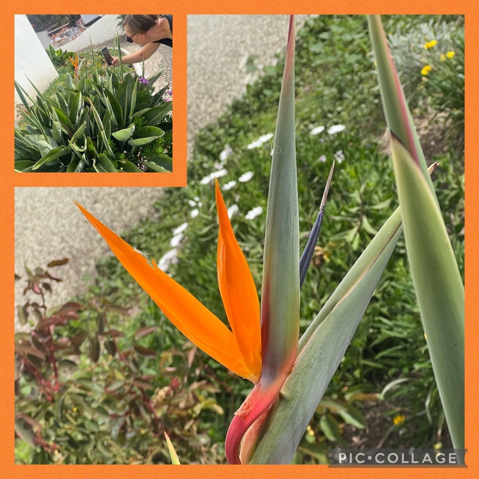 Portugal - Odeceixe - 