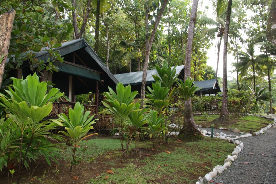 Costa Rica - Osa - 