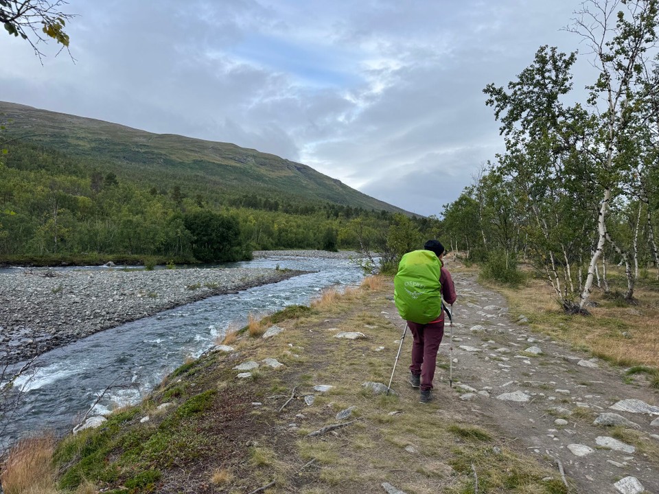 Schweden - Abisko - 