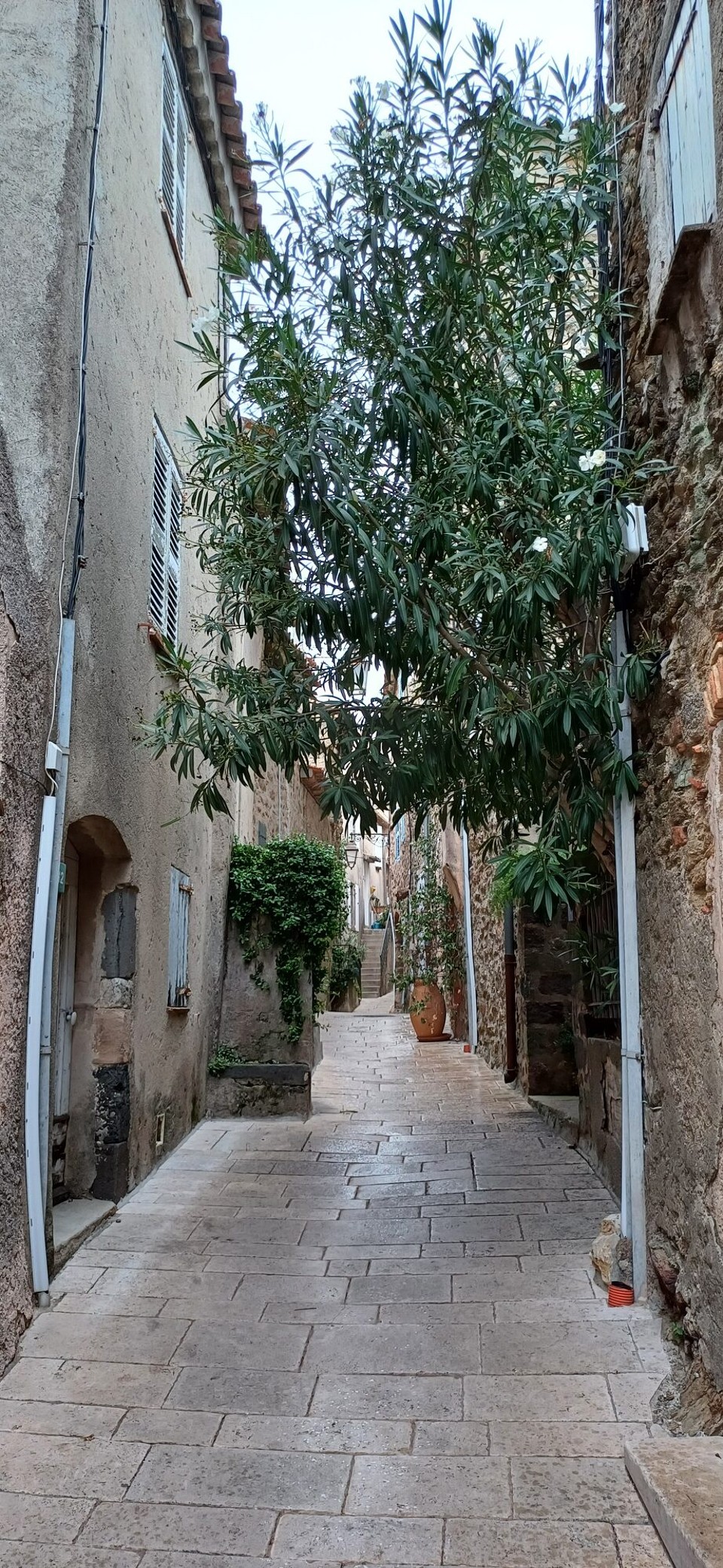 Frankreich - Gassin - 