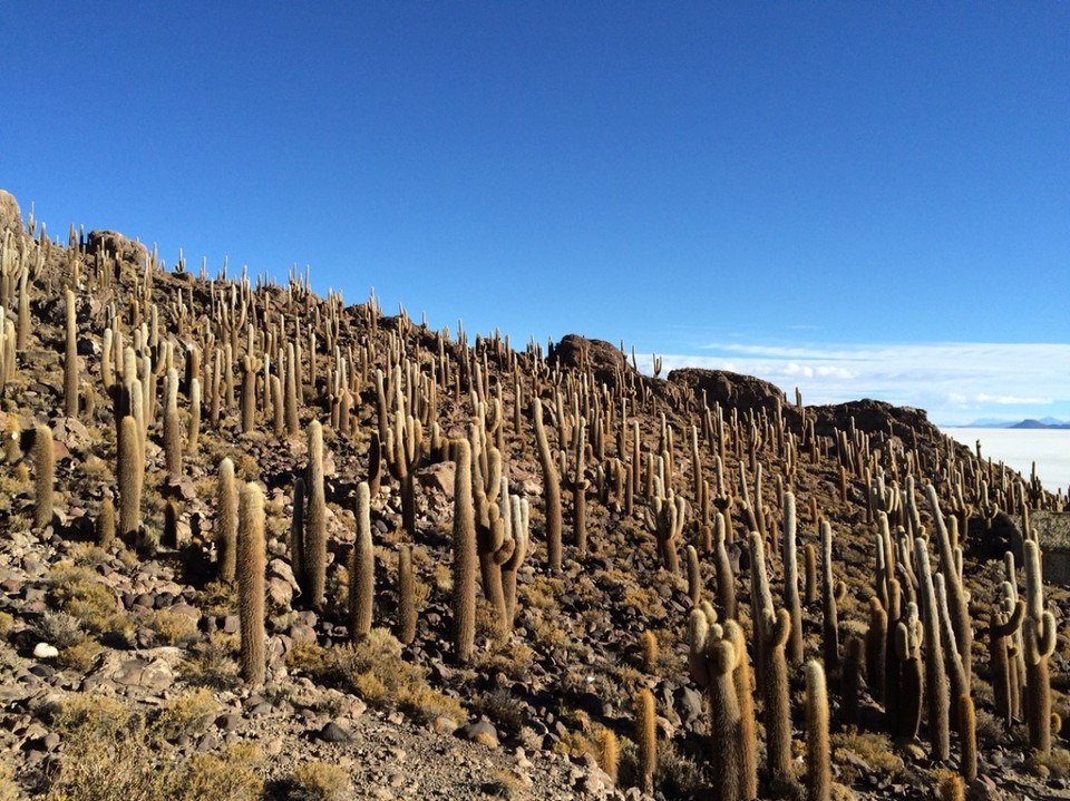 Bolivien - Salar de Uyuni - 