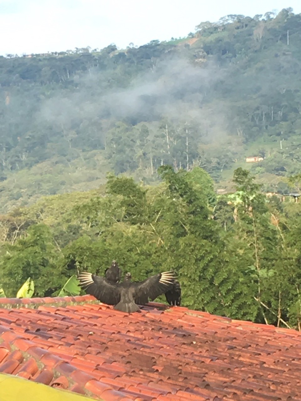  - Confines, Santander, Colombia - 