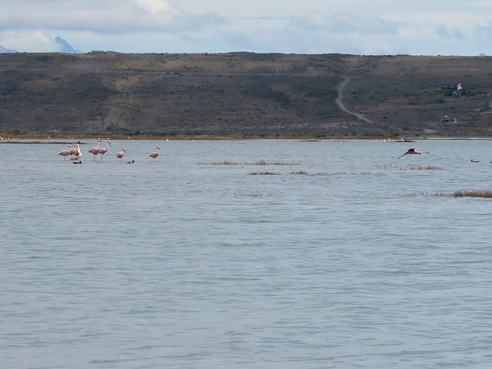 Argentina - El Calafate - Dont 1 en vol