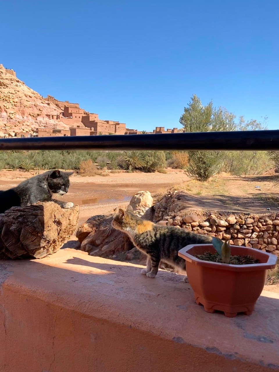 Marokko - Ouarzazate - 
