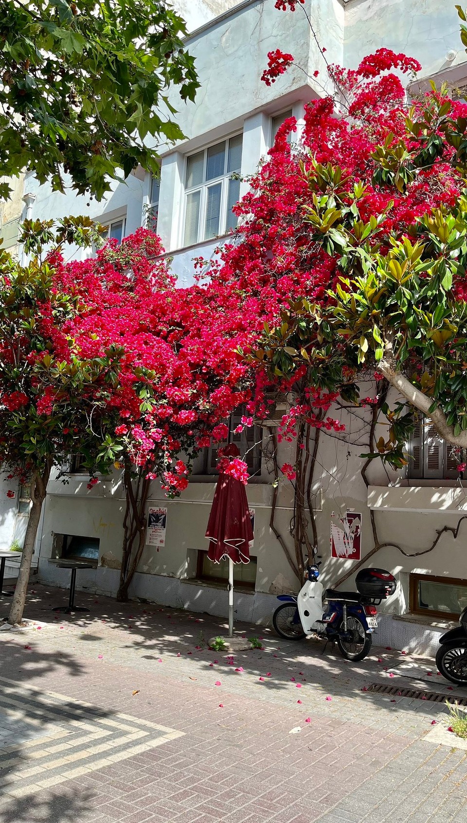 Griechenland - Katakolon - Pyrgos
