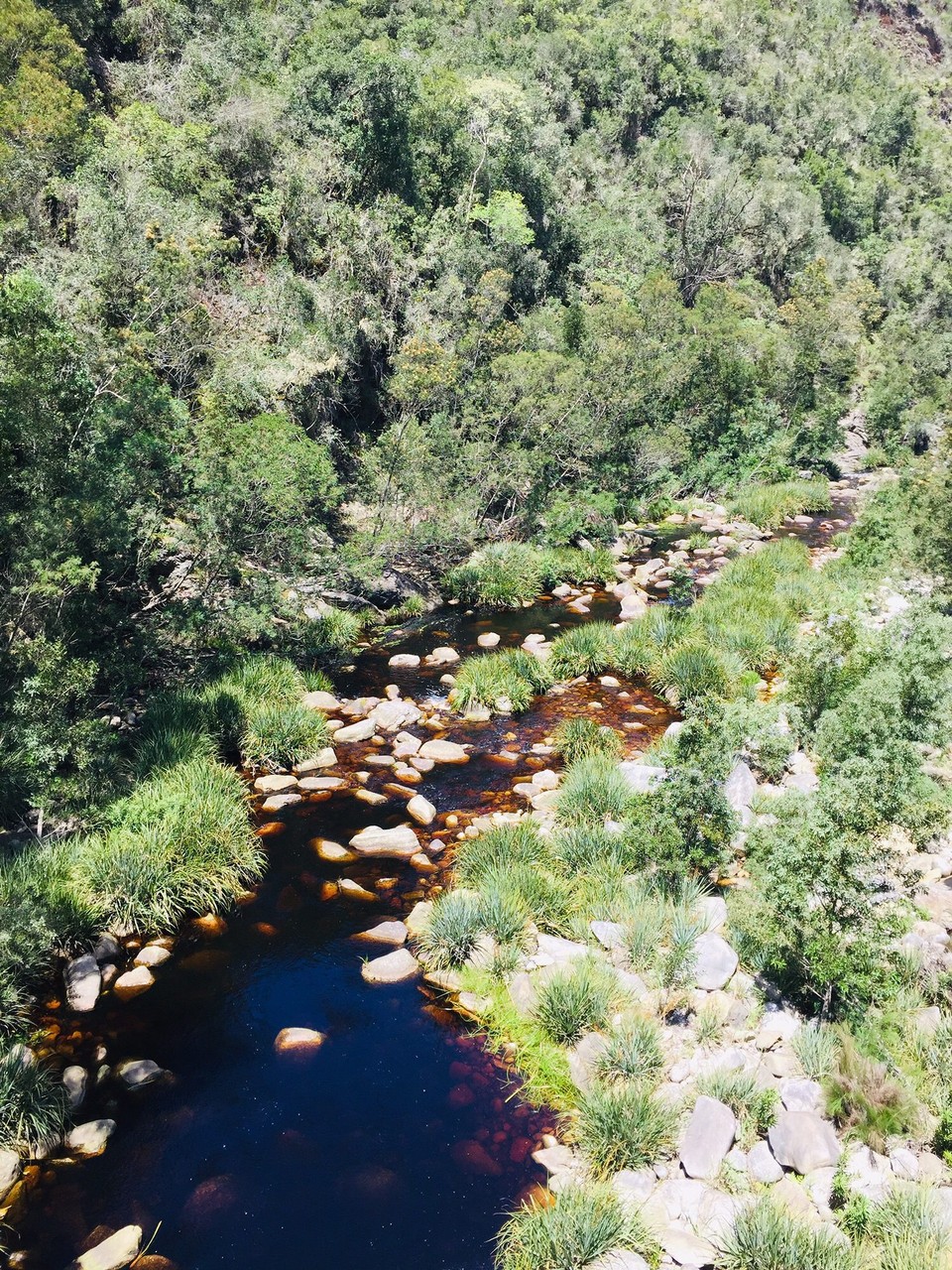 Südafrika - Knysna - 