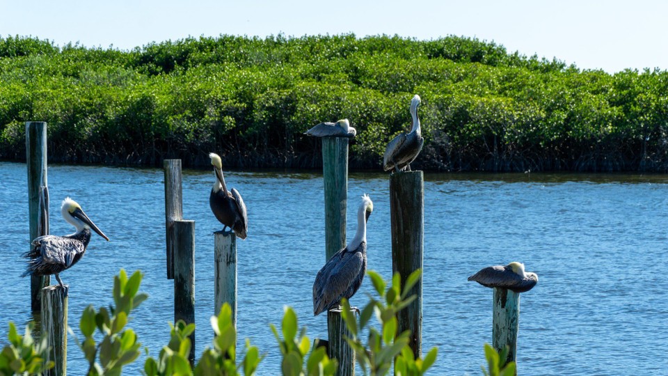 USA - Ponce Inlet - 