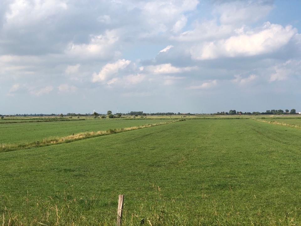 Deutschland - Sande - Schön grün hier 