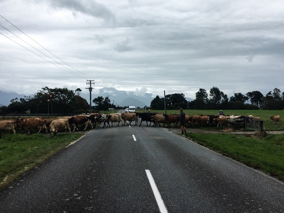 Neuseeland - Hokitika - Authentisch 