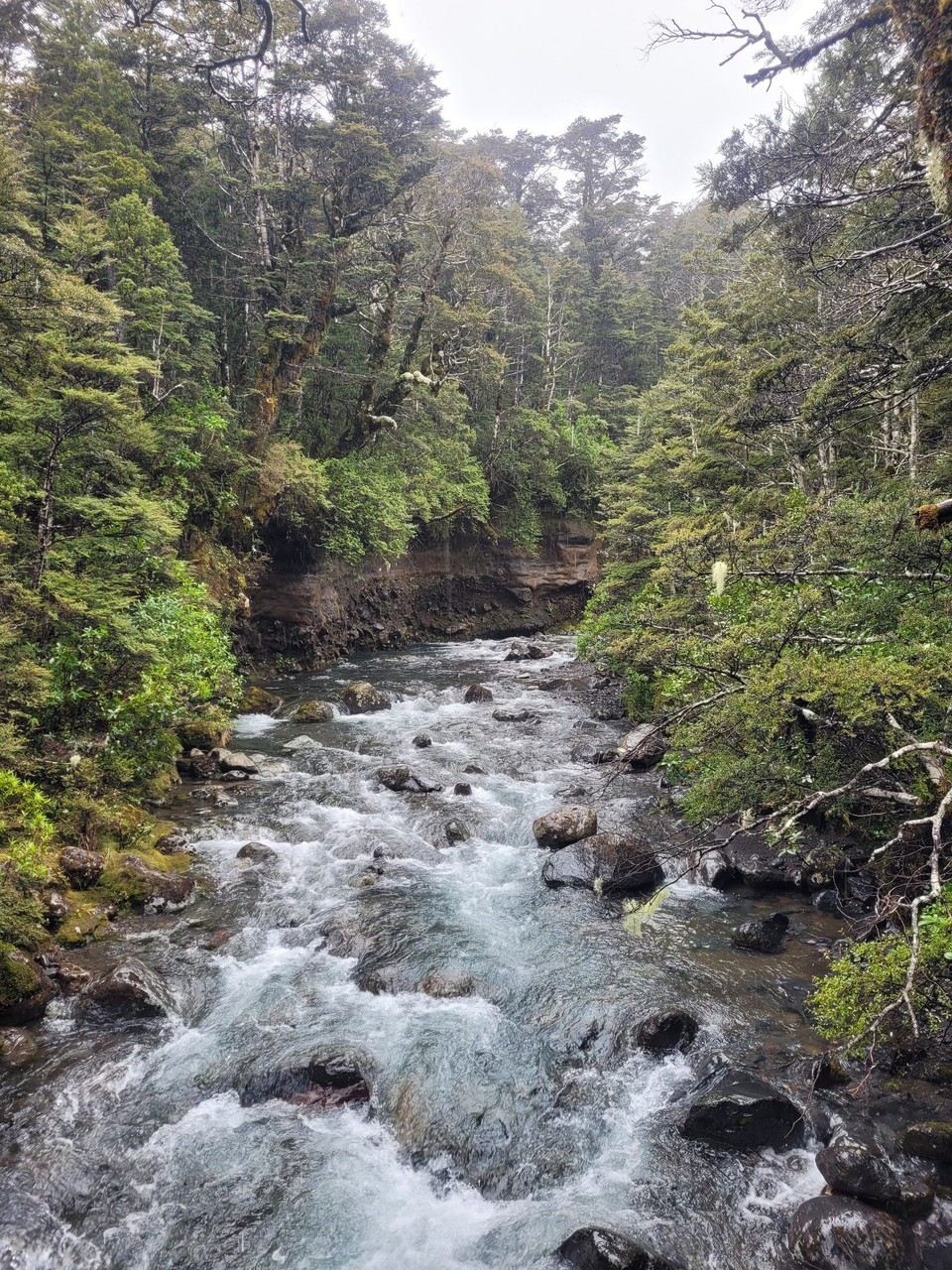 Neuseeland - Tongariro-Nationalpark - 
