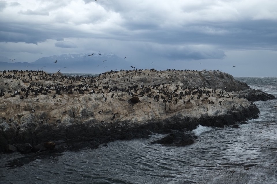 Argentina - Ushuaia - 