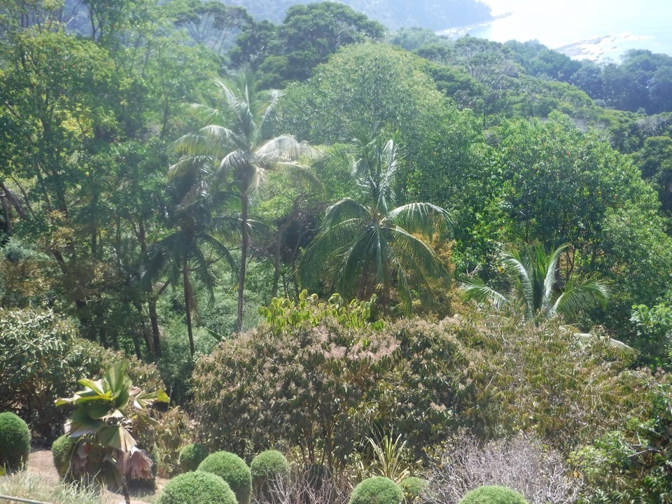 Costa Rica - Osa - 
