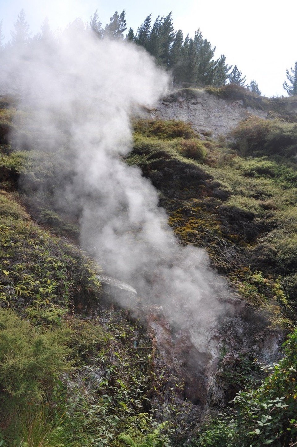 Neuseeland - Taupo - 