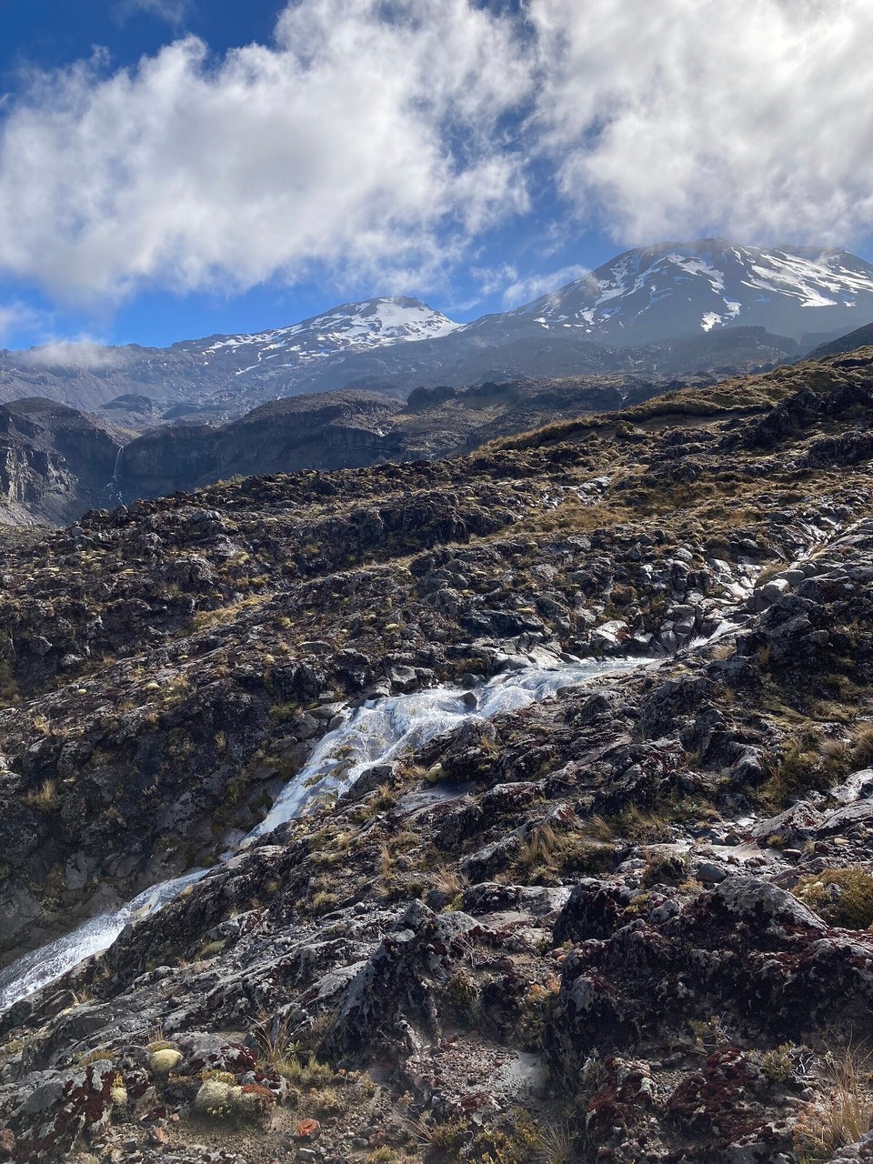 Neuseeland - Tongariro National Park - 