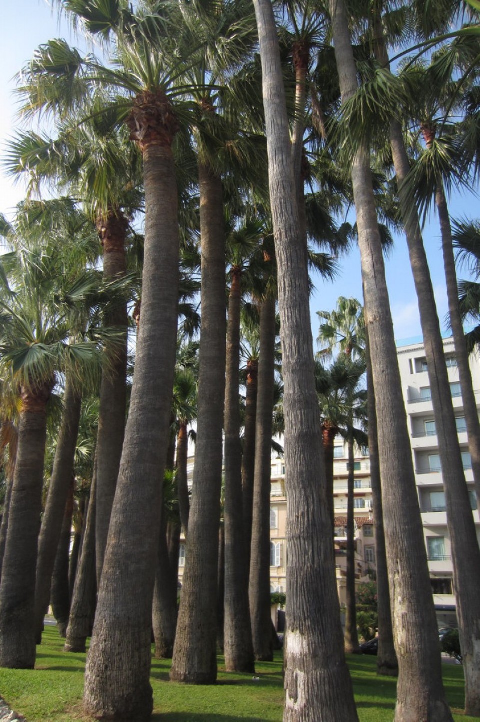 Frankreich - Cannes - 