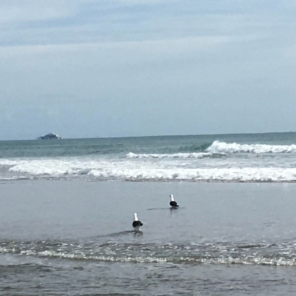 Neuseeland - Papamoa - 
