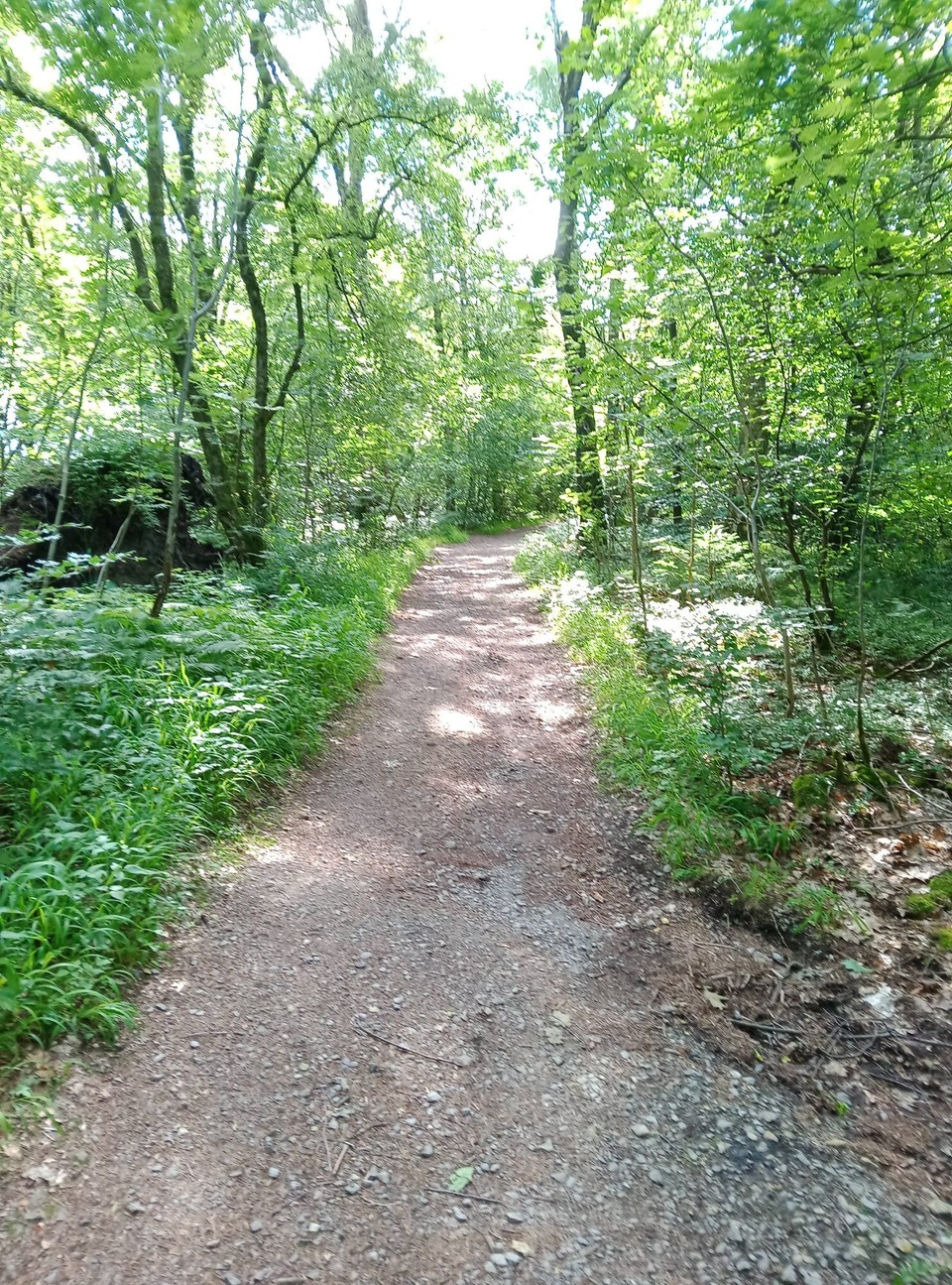 Deutschland - Horn-Bad Meinberg - auf dem Hermannsweg