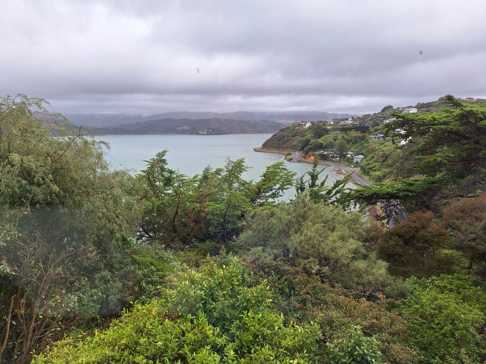 Neuseeland - Porirua - Unterkunft- Blick nach Außen....