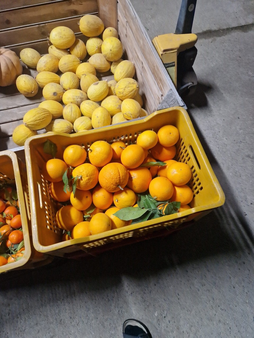 Italien - Catanzaro - 