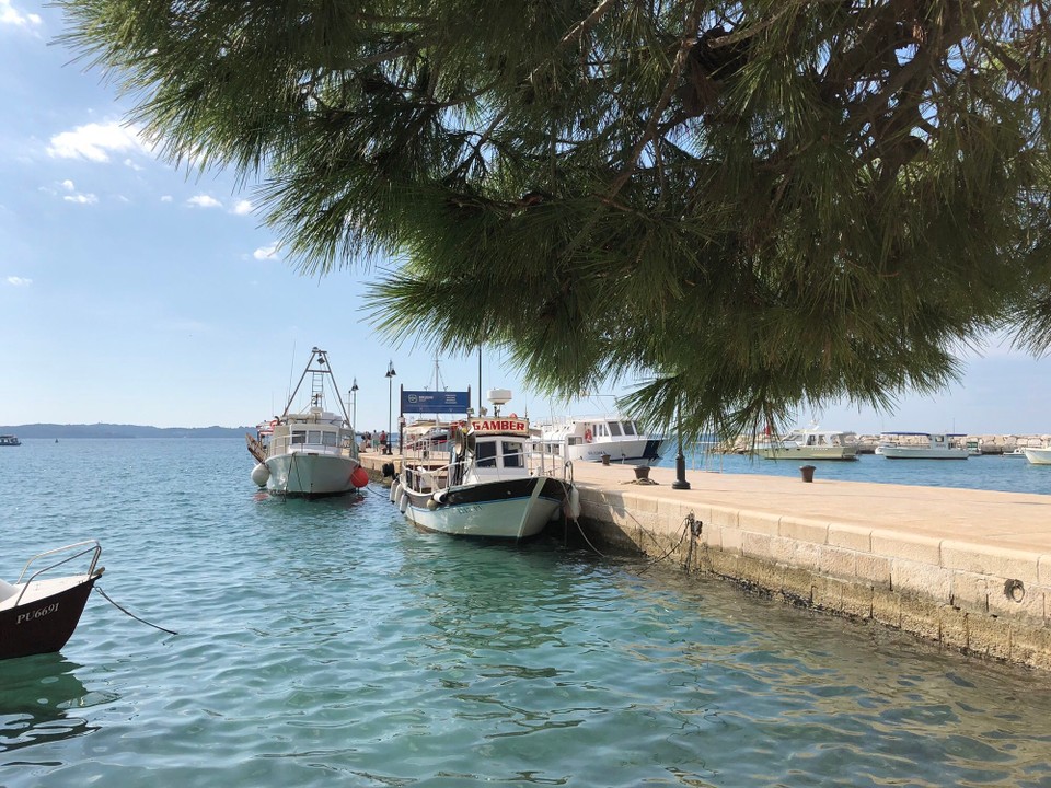 Kroatien - Fažana - Fazan