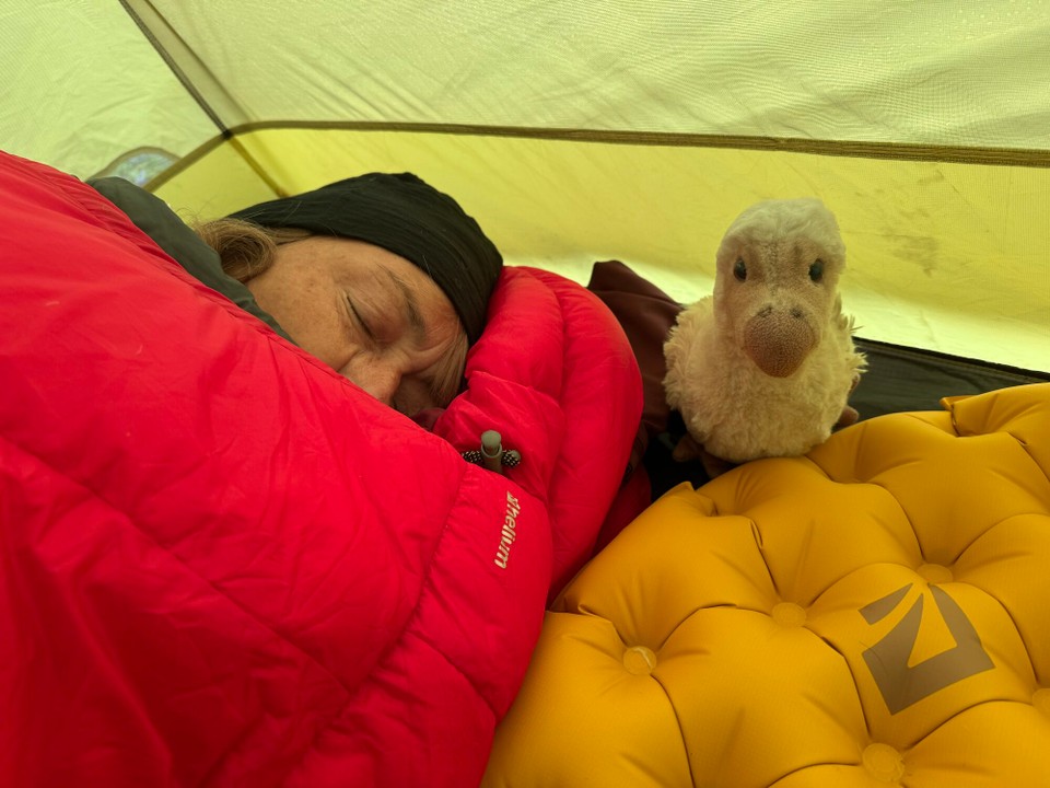 Schweden - Kiruna - Guten Morgen, aufstehen 🦤 🦙 !