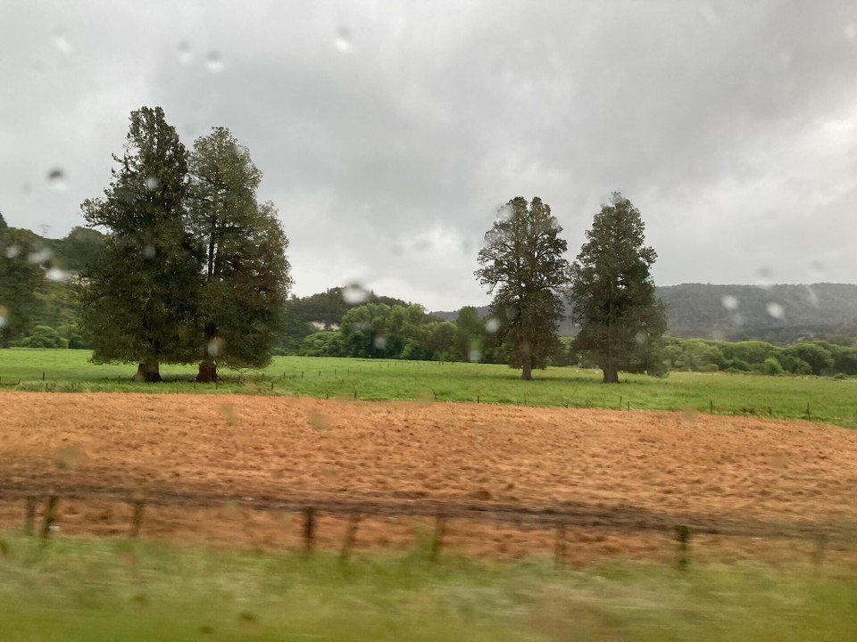 Neuseeland - Wakefield - 