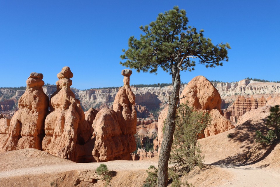 USA - Page - Bryce Canyon NP