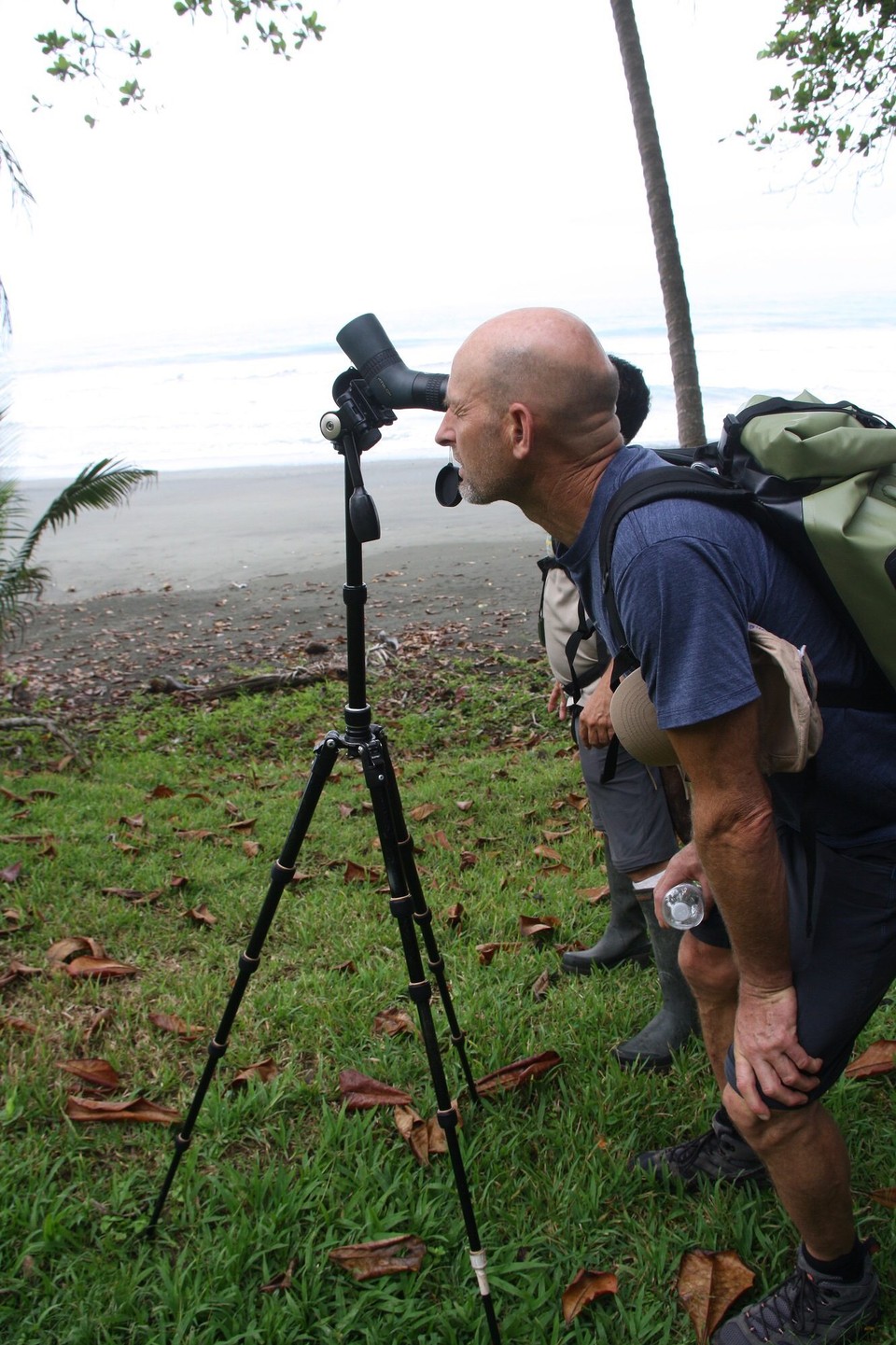 Costa Rica - Osa - 