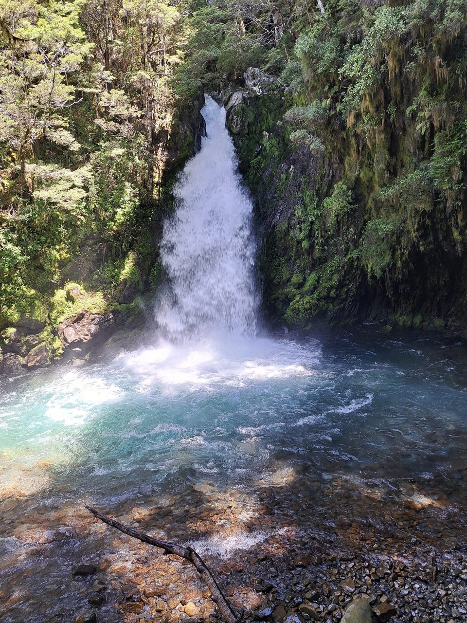 Neuseeland - Nelson Lakes National Park - 