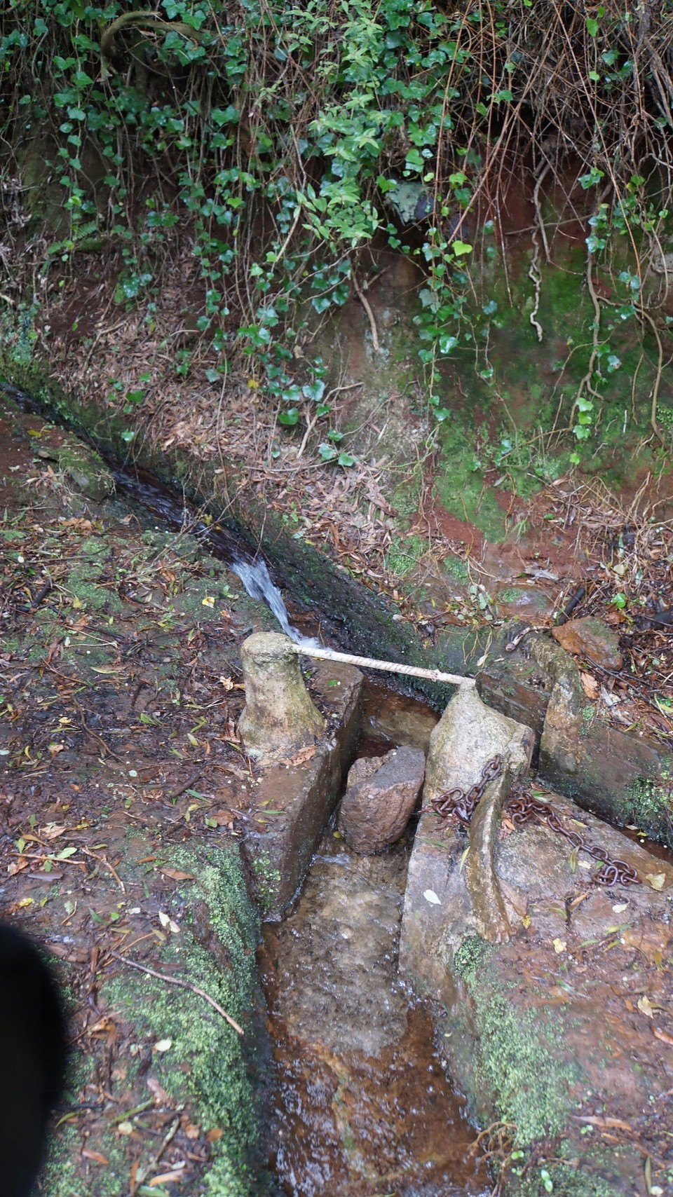 Portugal - Porto Moniz - Levada-Kreuzung