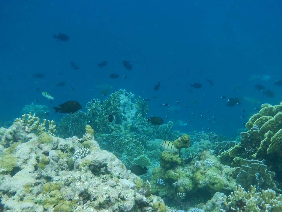 Indonesia - Kabupaten Wakatobi - 