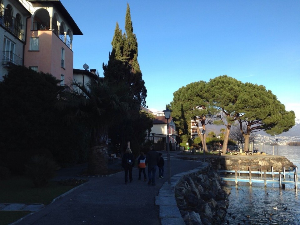 Schweiz - Brissago - 