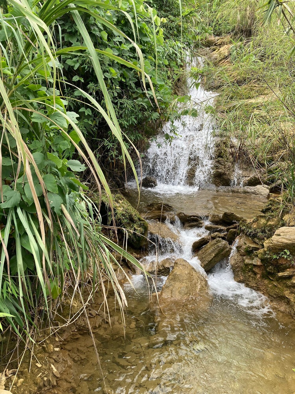 Vietnam - Hà Giang - 