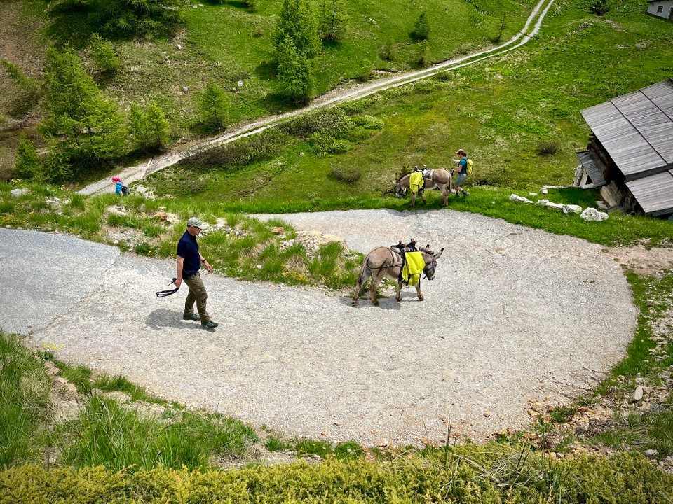 Frankreich - Arvieux - 