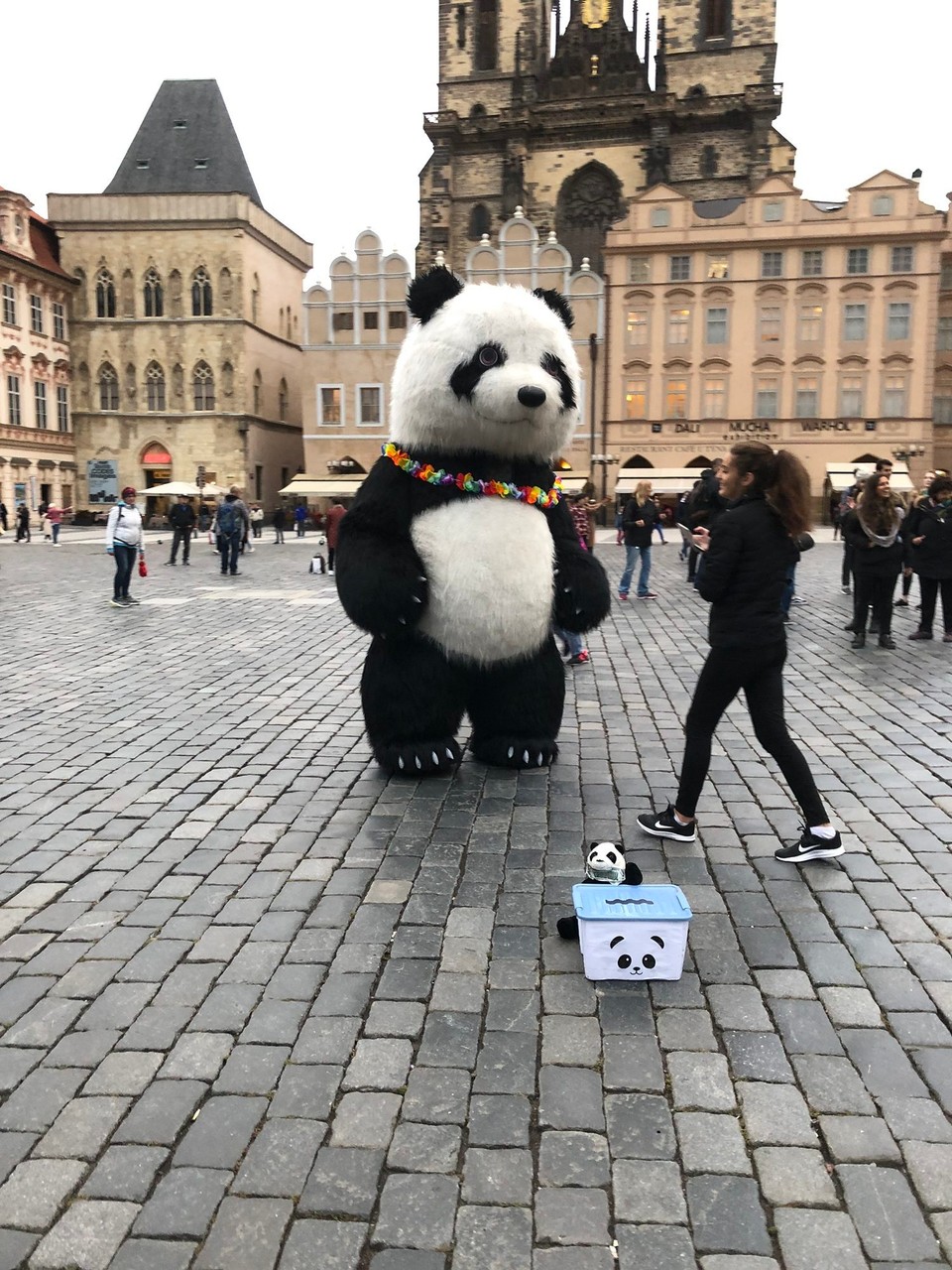 Czechia - Prague - 