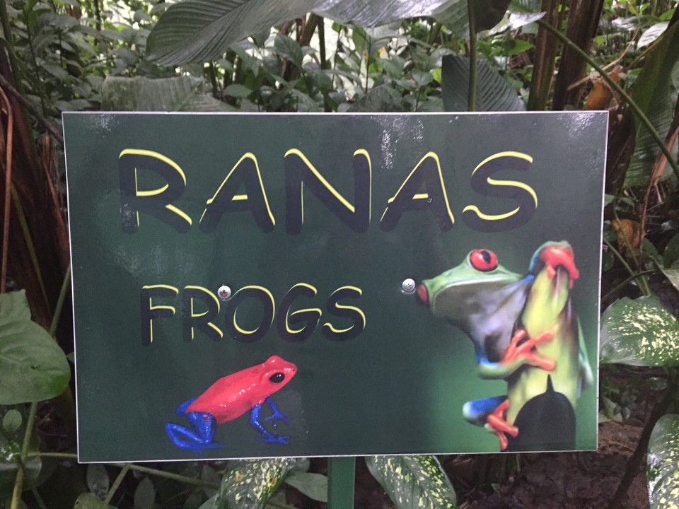 Costa Rica - La Fortuna - 
