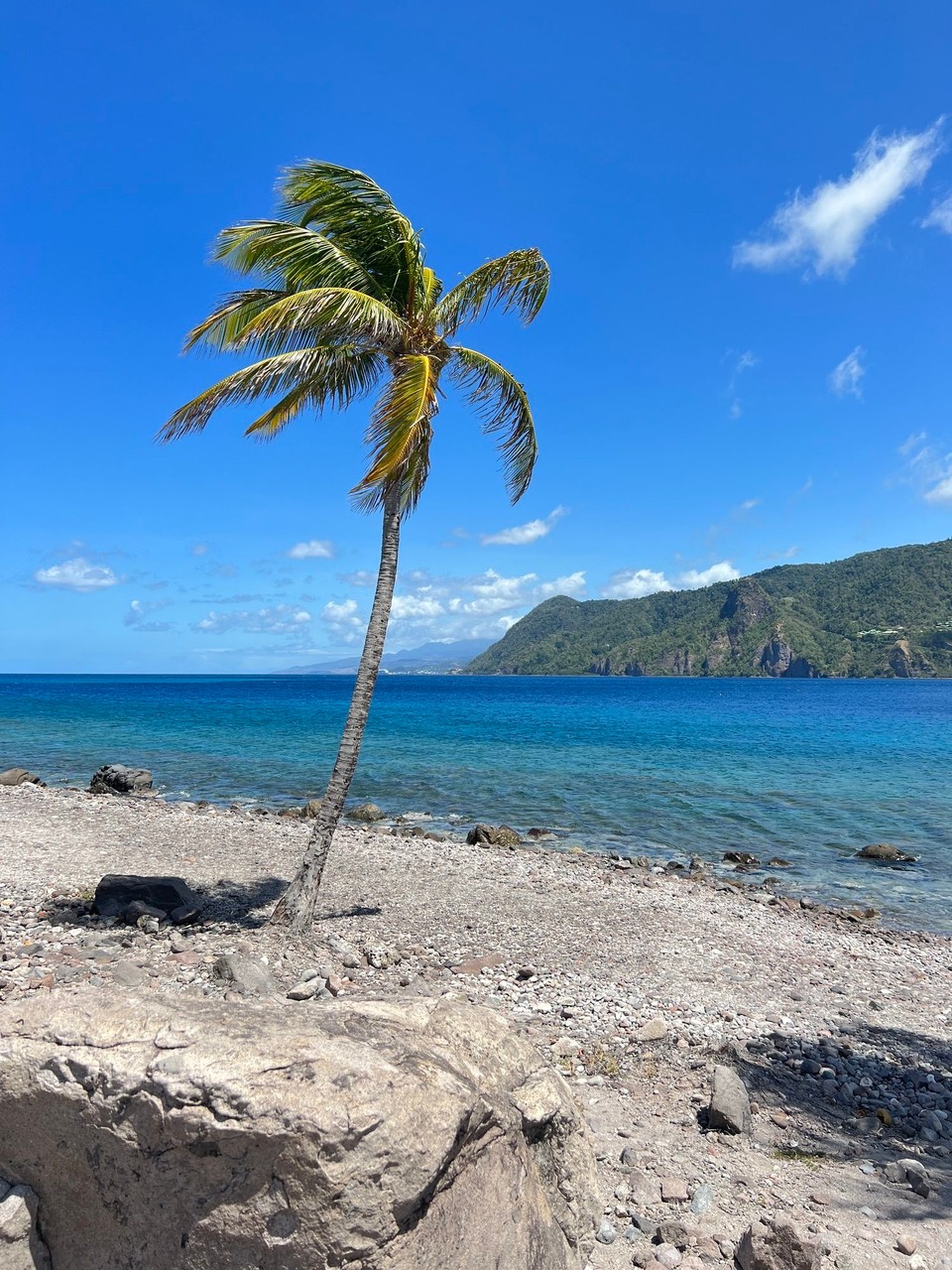Dominica -  - 