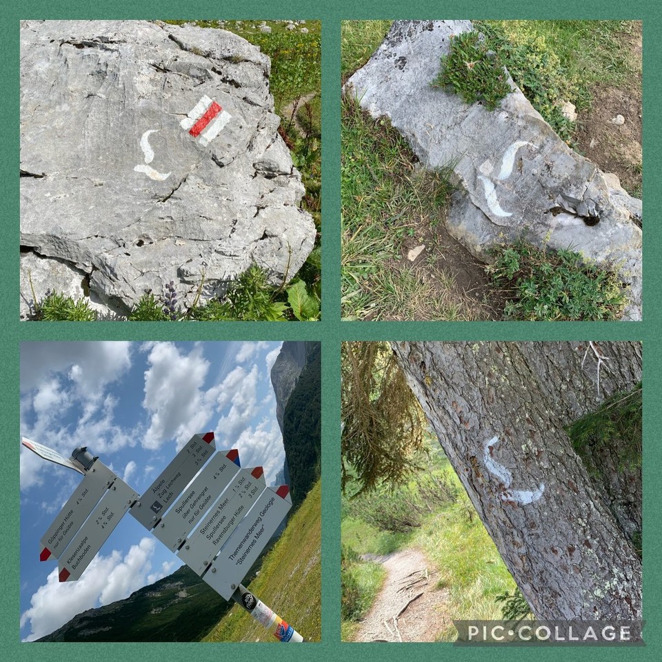  -  - Das L nicht aus dem Auge verlieren! 