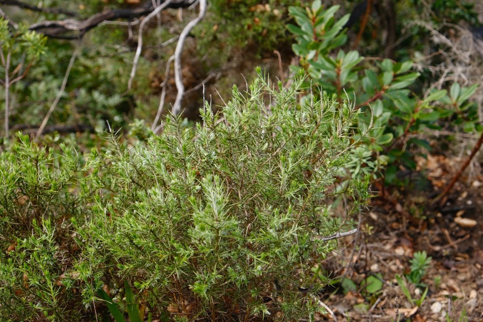 Portugal - Aljezur - 